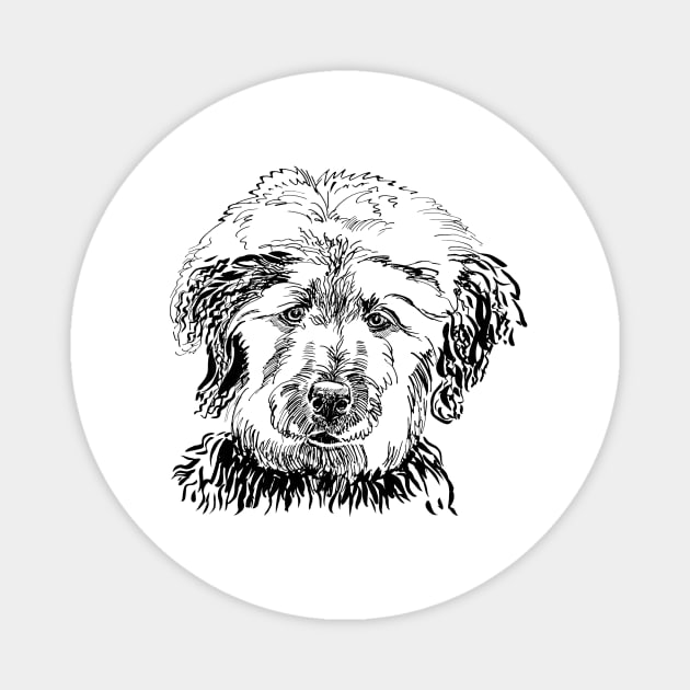 labradoodle portrait Magnet by VicaVeresk